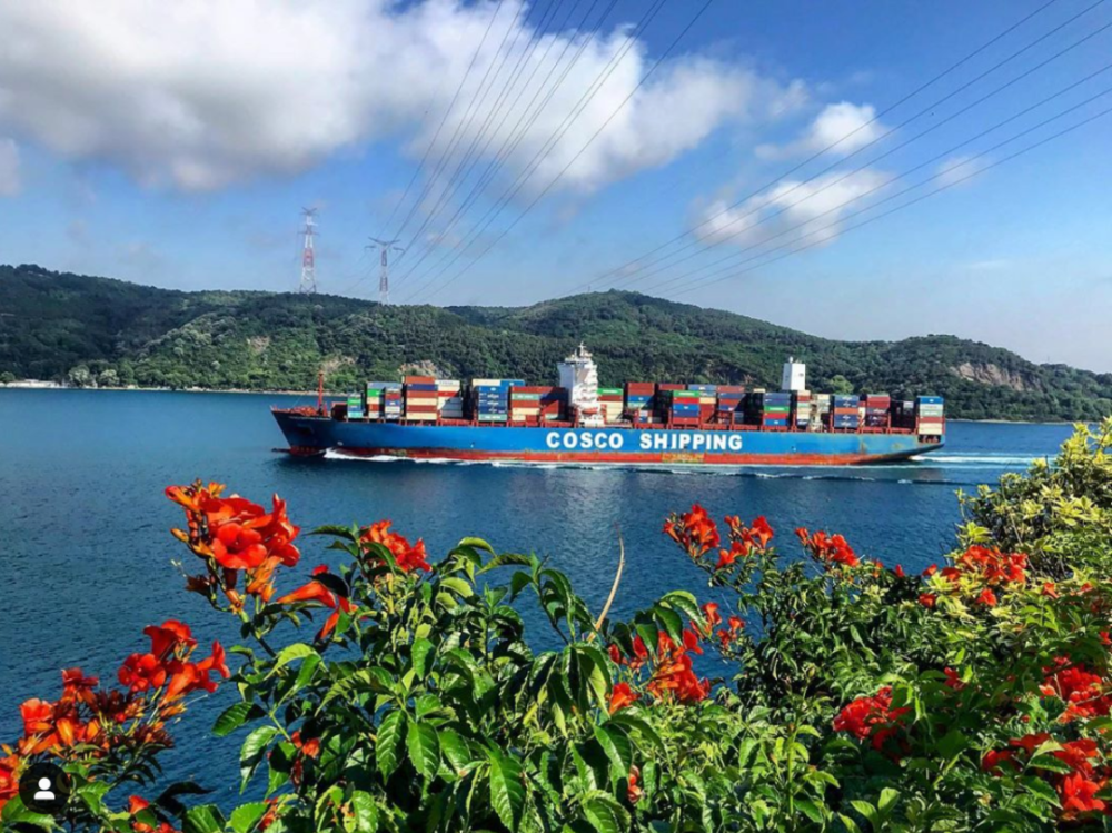 船期延誤的“元兇”之首，可能不是天氣